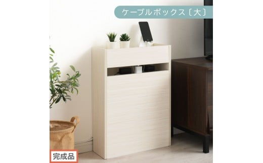 【完成品でお届け】ルーター収納ボックス〔大〕（ホワイト）ケーブルボックス スリム 大サイズ ケーブル収納 ボックス コードケース タップボックス タップ収納 ルーターボックス コードボックス コード収納 LKANET300256-0-WH