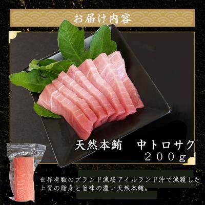 ふるさと納税 室戸市 天然本マグロ 中トロ と 藁焼きかつおタタキ セット |  | 02