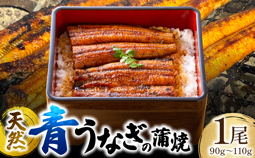 熊本県 八代市産 天然青うなぎの蒲焼 蒲焼セット 1尾（90g～110g） 自家製うなぎのタレ 鰻 ウナギ うなぎの蒲焼 丑の日 国産 うな丼 うな重