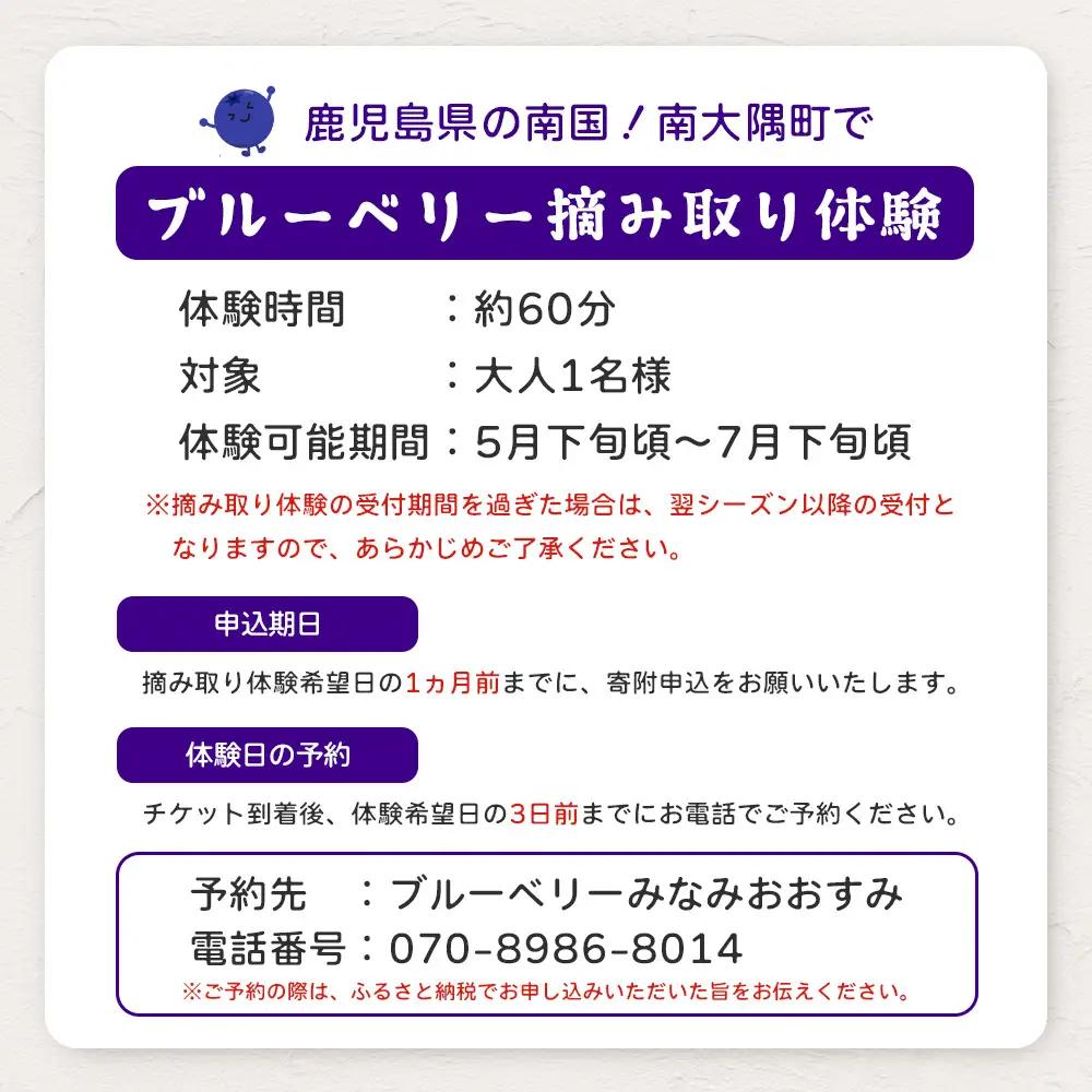 鹿児島県の南国！南大隅町の農園で、ブルーベリー摘み取り体験♪ ブルーベリー摘み取り体験チケット （60分食べ放題） ≪大人1名様分≫ BO-3｜鹿児島県 南大隅町 農園 収穫体験 果物 ブルーベリー 