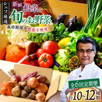 ふるさと納税 大洲市 【全6回定期便】あったら嬉しい根菜セット♪+おまかせ旬野菜 [AGBX013]
