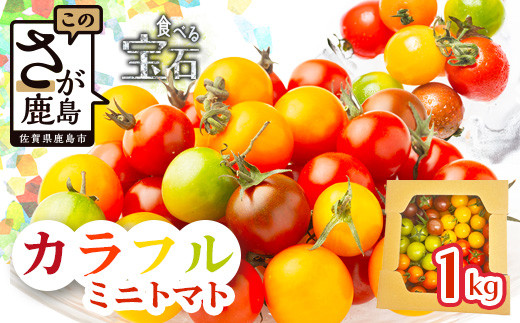 ＼農林水産大臣賞受賞／岩永さんちのトマト 【カラフルミニトマト5色 約1kg】【生産者直送】化学肥料不使用  有機栽培 手造り堆肥 甘い フルーティ お弁当 サラダ おやつ 健康 安心安全 ふるさと納税   B-823