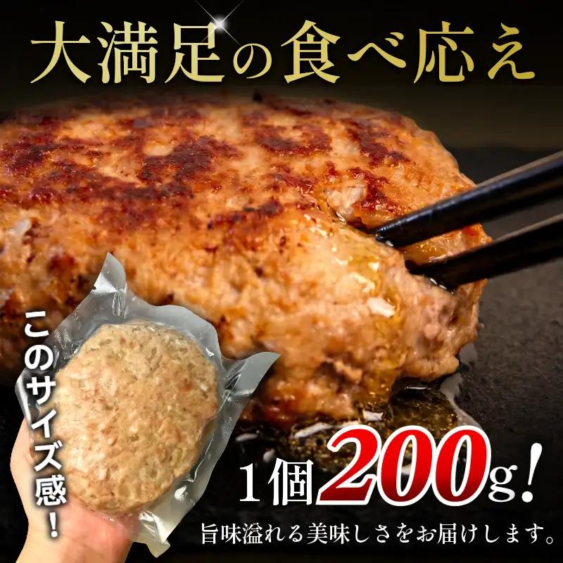 黒毛和牛ハンバーグ 2kg 200g×10個 国産 阿波牛 使用 合い挽き 惣菜 1個 200g 冷凍 ハンバーグ はんばーぐ 肉 おかず 簡単調理 徳島 小松島