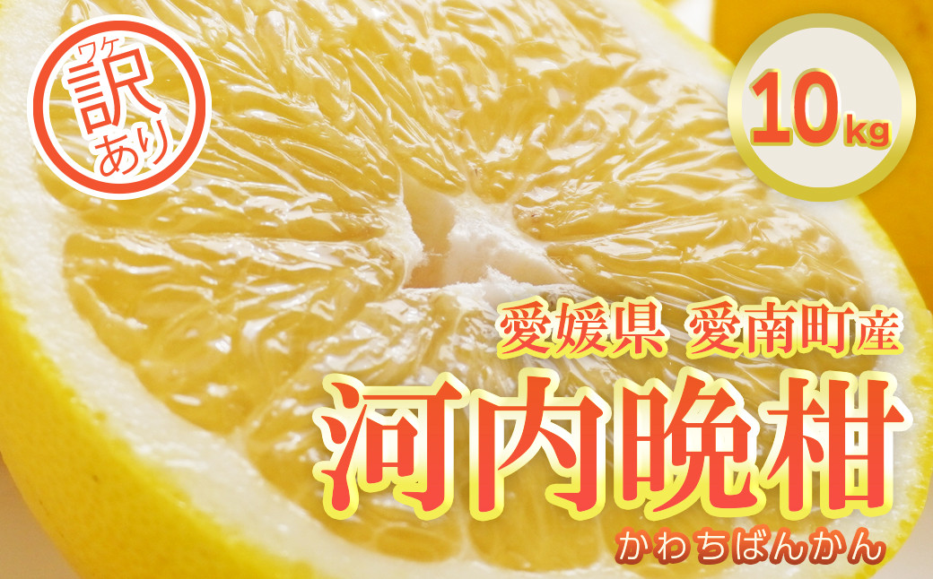 
            訳あり フルーツアイランド・マルエム直販の愛南産の河内晩柑 約10kg 柑橘 フルーツ 果物 蜜柑 みかん くだもの mikan 家庭用 傷 不揃い  サイズミックス かわち ばんかん かんきつ 和製 グレープフルーツ 愛南ゴールド デザート 果実 果汁 甘い ジューシー おいしい 特産品 国産 農園 直送 産地 直送 愛媛県 愛南町
          