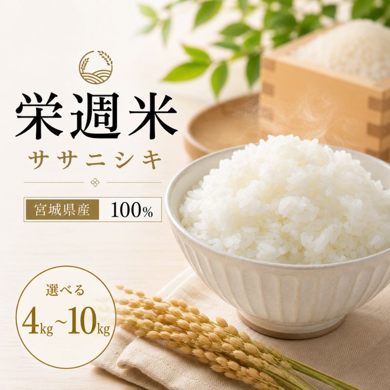 【ふるさと納税】栄週米 ササニシキ（精米）＜選べる 4kg ／ 5kg／10kg ＞　/ 米 お米 ささにしき 精米 新米