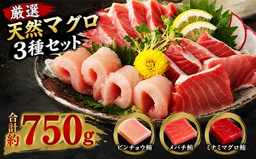 
                  船元が直送! 厳選 天然 マグロ 3種 750g以上 | ミナミマグロ鮪250g メバチ鮪250g ビンチョウ鮪400g 南 目鉢 鬢長 セット まぐろ 食べ比べ みなみまぐろ めばちまぐろ びんちょうまぐろ ワケアリ わけあり 訳あり 刺身 さしみ 刺し身 冷凍 漬け 海鮮 丼 父の日 旬の魚貝 高知県 室戸市
                