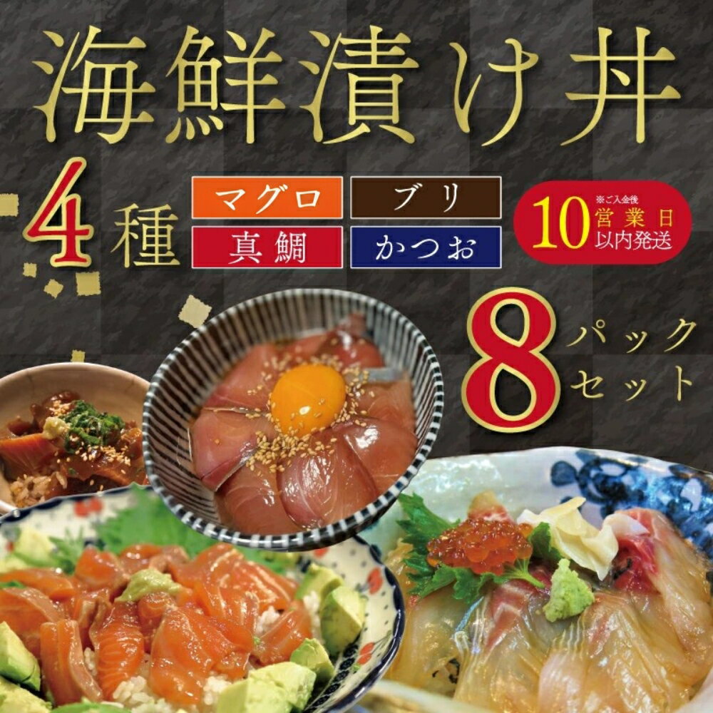 【ふるさと納税】 漬け丼セット 計8パック ( 4種 × 2 パック ) 真鯛 カツオ ブリ キハダ マグロ 10000円 食べ比べ 漬け丼 づけ丼 海鮮丼 鯛 たい かつお 鰹 マグロ 冷凍 人気 魚介 海鮮 お手軽 加工品 簡単 流水解凍 小分け 新鮮 養殖 国産 南予ビージョイ 愛南町 愛媛県