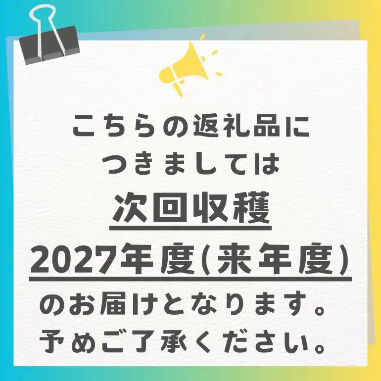 【 先行予約 2027年 発送 】 訳あり 沖縄県 糸満産 かねよし マンゴー アーウィンマンゴー 2kg 訳アリ 訳あり品 沖縄県産 アップルマンゴー 国産 完熟マンゴー 果物 くだもの フルーツ 
