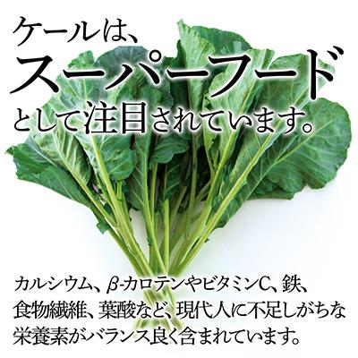 ふるさと納税 磐田市 【毎月定期便】TV紹介で大好評 ソフトケール 100g×5袋 健康 腸活応援 スムージー 全3回 |  | 01