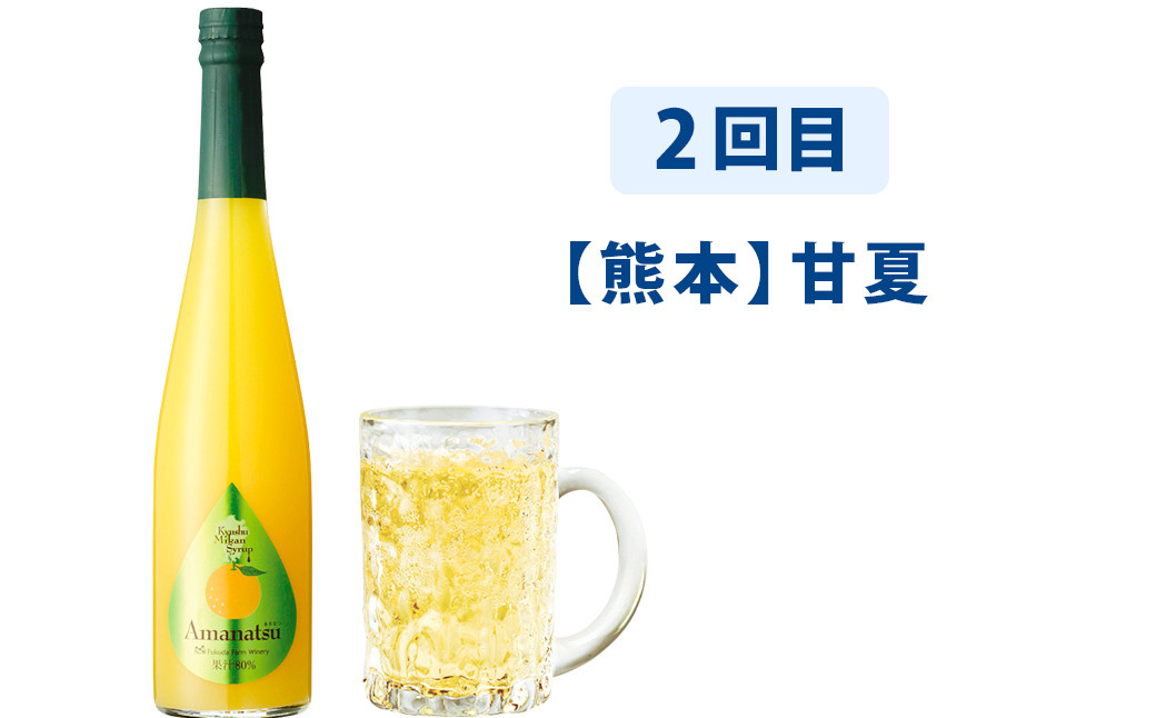 【6ヶ月定期便】九州を飲む！毎月届く九州果実シロップ