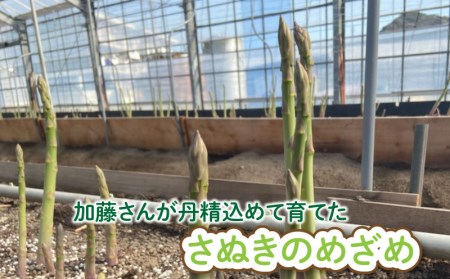 アスパラ さぬきのめざめ 1kg 夏芽