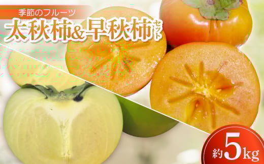 
            季節のフルーツ「太秋柿&早秋柿セット」計約5kg＜令和7年9～10月発送＞【1609821】
          