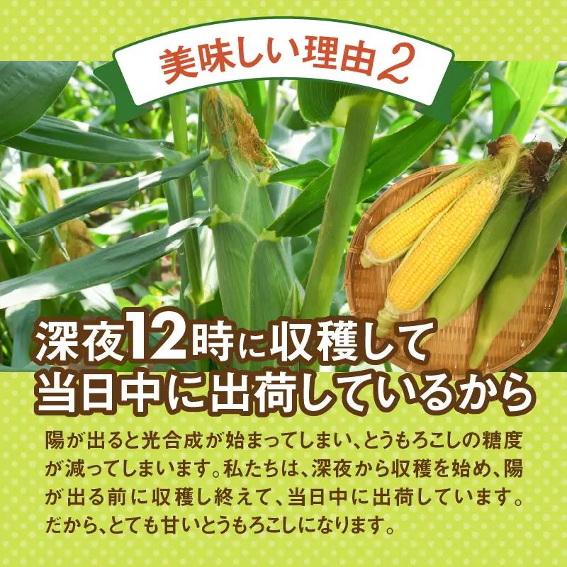 富士北麓忍野村の気候、水、自然で作られた朝採りトウモロコシ【ピーターコーン】 （約2.5kg）