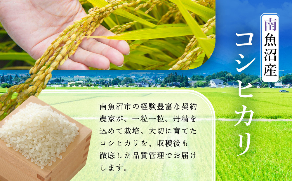 雪温精法　南魚沼産こしひかり2kg　契約栽培  雪蔵貯蔵米