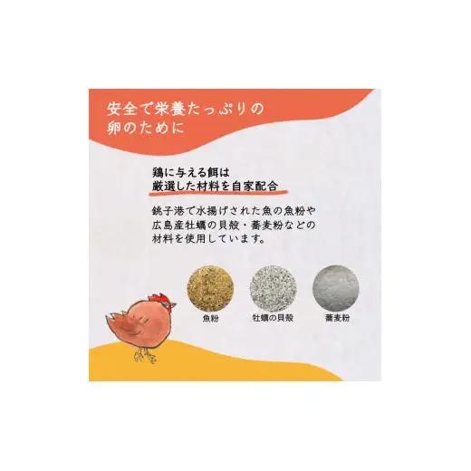 【定期便６か月】卵 30個 新鮮たまご 産卵後2日以内 10個×3箱 2L L ミックス 養鶏場直送 