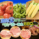 【ふるさと納税】【令和7年産先行予約】庄内夏野菜と庄内グリーンポーク"ぶーみん"（庄内豚）BBQセット　だだちゃ豆（約1kg）＆月山高原とうもろこし（約250g×5本）＆樹熟トマト(2～3玉入×3P）　肉バルYAKU禄