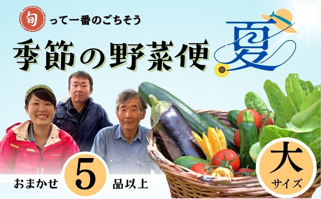 
            【期間限定】～旬っていちばんのごちそう～ひぐらし農場 季節の野菜便（夏）大サイズ（7-A36）
          