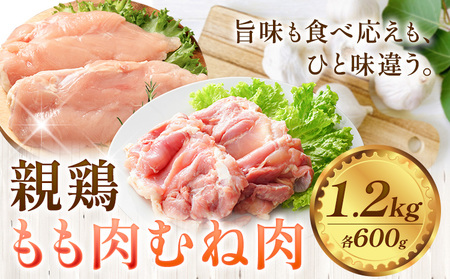 親鶏 ももむね肉 計1.2kg (各200g× 6パック) 親鳥
