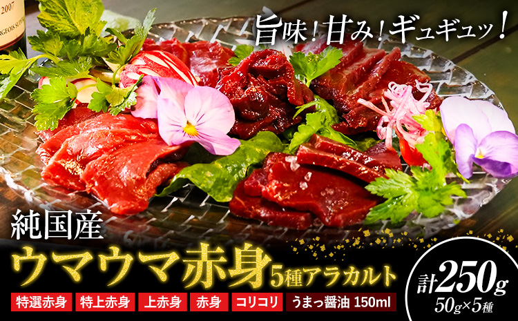 馬刺し 純国産 ウマウマ 赤身 5種 アラカルト 専用醤油付き 50g ×5種 計250g 有限会社九州食肉産業《30日以内に出荷予定(土日祝除く)》熊本県 産山村 純国産 馬刺し 国産 赤身 熊本肥育 馬刺 馬肉 詰め合わせ 贈答用 ギフト お中元 お歳暮---2050---
