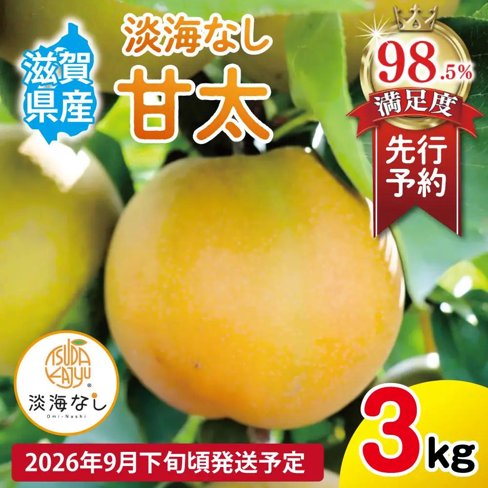 【先行予約】【数量限定】淡海なし　甘太　3kg箱入り（サイズ：2L～7L　5～10個入り）【K131W】スイーツ 果物