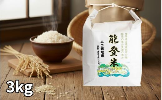 【令和7年産】 こしひかり 白米 3kg 1袋 数量限定 精米 白米 米 お米 こめ コメ ご飯 ごはん コシヒカリ のと米 米 能登 能登米 化学肥料農薬 3割 以上 減農 こだわり 石川県産 能登米 エコ 栽培 環境 2025年産 おこめ 精米 3kg R7 送料無料 数量 限定 ギフト 白飯 コメ 白米 hakumai ふるさと納税 能登 石川 羽咋 はくい 北陸 災害 復興 支援 復興支援