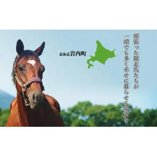 ホーストラスト北海道支援 500万円コース 引退馬 F21H-571