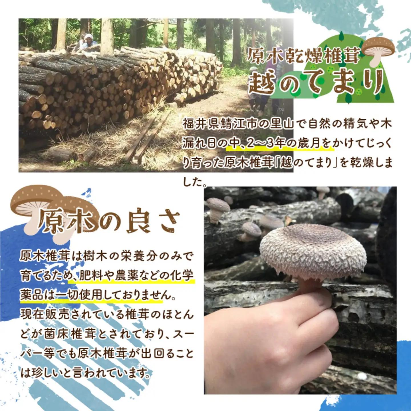 鯖江市産 原木乾燥椎茸「越のてまり」 （大・中サイズ）3パック &（小サイズ）2パック　計5パック　野菜　きのこ