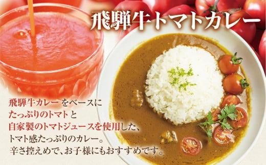 飛騨牛カレー (3袋) 飛騨牛トマトカレー (2袋)  計5食  | 訳あり 飛騨牛 肉 牛 カレー ビーフカレー 簡易包装 レトルトカレー トマトカレー 人気 おすすめ おいしい 便利 飛騨高山 ふ