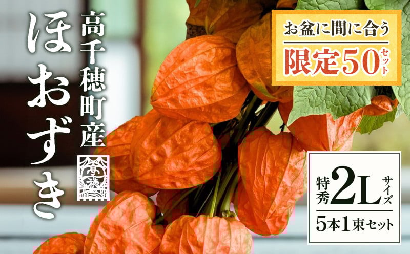 
            高千穂産ほおずき［観賞用］_Tk004-023
          