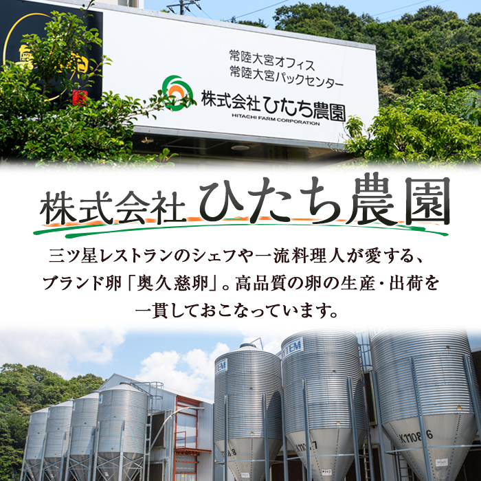 三ツ星レストランや一流料理人が愛するブランド卵『奥久慈卵』 赤 90個 たまご タマゴ ミネラル 茨城県 【ひたち農園】【ho1319】