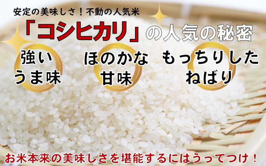 こだわりのお米　コシヒカリ　白米　10kg（飯豊町産）【新米予約】