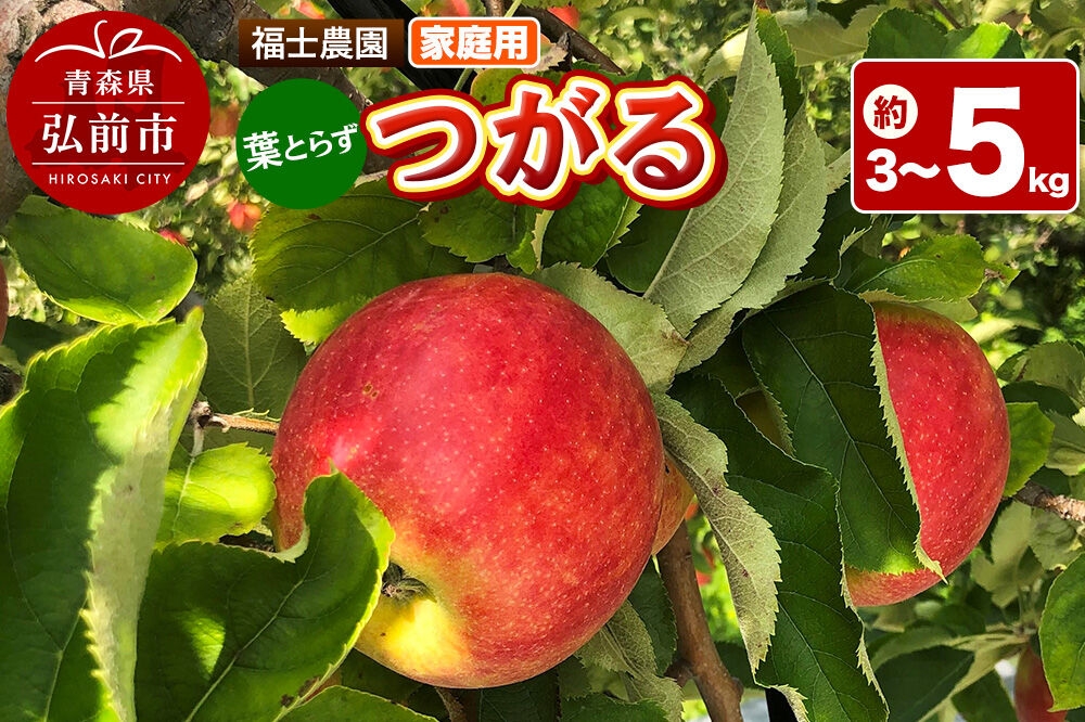 
                  【26年9月発送】りんご 葉とらず つがる【家庭用】【選べる約 3kg／5kg】青森県 弘前市 [青森県産 産地直送 アップル おいしい 果実 果物 赤色 美味]
                