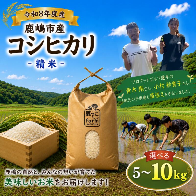 【ふるさと納税】 数量限定 こしひかり 5kg 10kg 【選べる】 【先行予約】 米 単一原料米 令和8年度 新米 白米 こめ 精米 国産 産地直送 お米 kosihikari ご飯 ごはん rice kome okome 甘み 粘り 苗植え 鹿っこfarm 茨城県 鹿嶋市 【2026年10月以降発送】