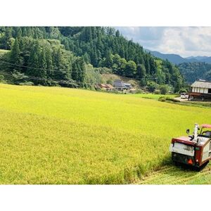 【令和7年産】ヒノヒカリ　白米5kg×2袋　計10kg【1441155】