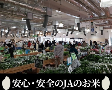 【1月発送】【定期便】令和7年産 新米 5kg 3ヶ月 京都丹波産 コシヒカリ 白米＜JA京都 たわわ朝霧＞ 3回定期便 5kg×3回 計15kg 毎月発送に合わせて精米