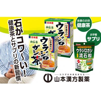 ふるさと納税 小牧市 ウラジロガシ茶(5g×20包)×2個&ウラジロガシ 流石粒(240粒)×1個[027Y12] |  | 01