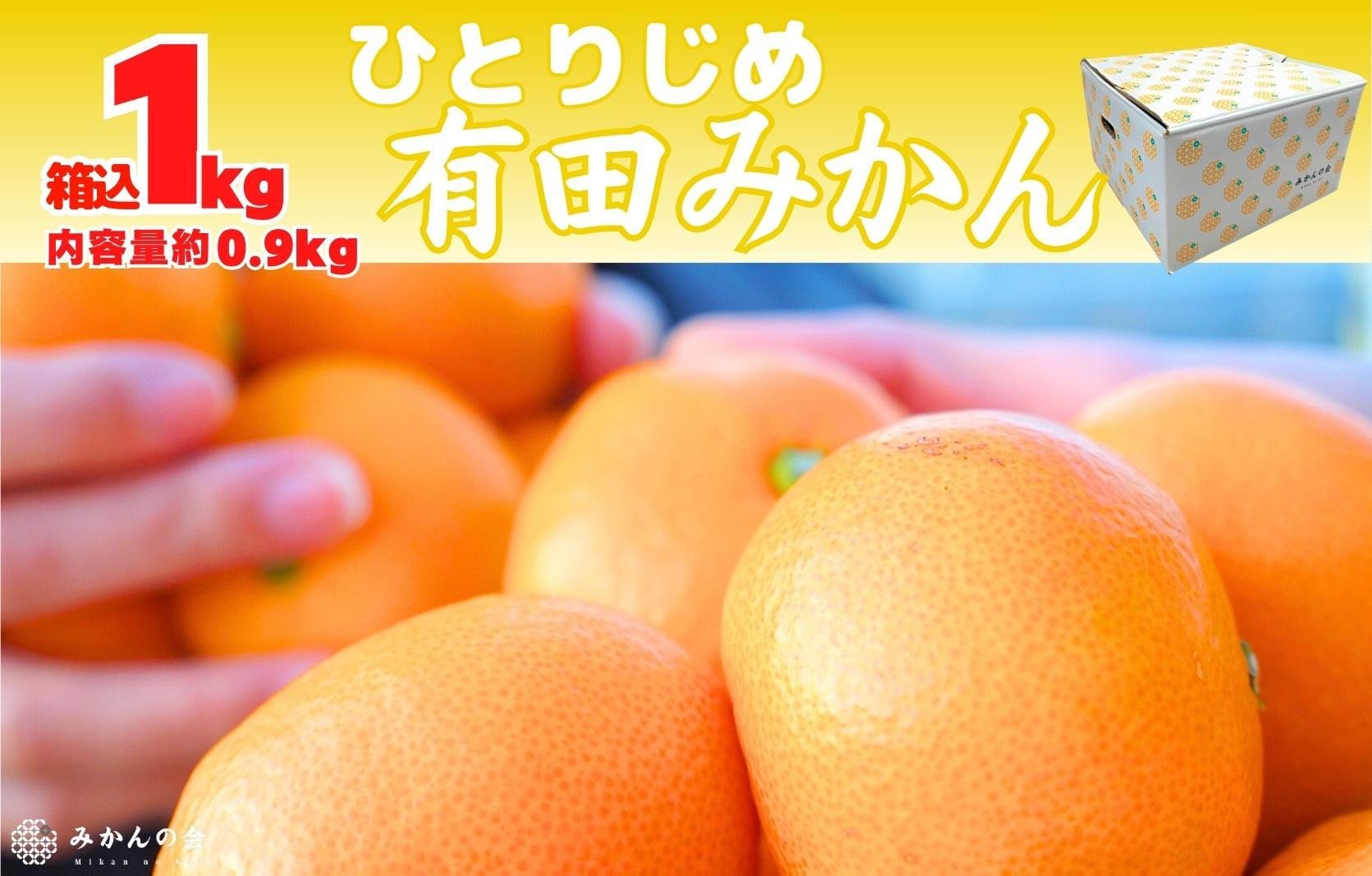 
            みかん ひとりじめ 箱込 約1kg(内容量約 0.9kg) サイズミックス 和歌山県産 産地直送 家庭用【みかんの会】
          