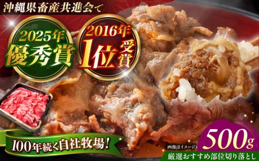 沖縄県産和牛 切り落とし 500g 【厳選部位 おすすめ】【佐渡山牛】｜きりおとし 沖縄産 黒毛和牛 牛肉 切り落とし 国産 沖縄県産 切り落とし 牛肉 和牛 冷凍 ５００g 500グラム 沖縄市 / 肉のサブロー [BCBC002]