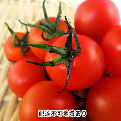 【ふるさと納税】 2026年 先行予約 ミニトマト バラ 約2kg 岡山 高梁市産 とまと 有機 野菜 　お届け：2026年7月下旬～2026年9月上旬