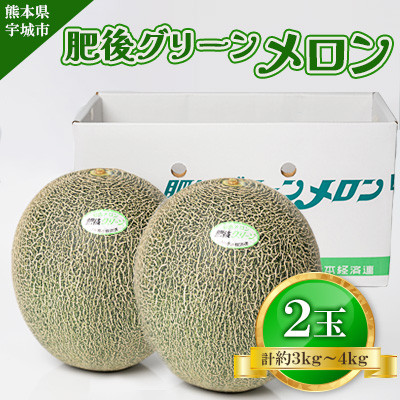 肥後グリーン メロン 2玉入り 計約3kg～約4kg【2025年5月下旬から6月上旬発送予定】【1592693】