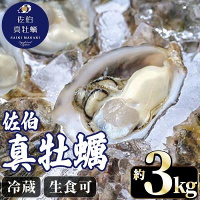 ふるさと納税 佐伯市 佐伯真牡蠣 鶴見産 (約3kg)