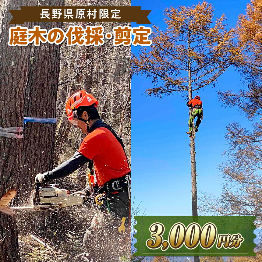 【ふるさと納税】【原村限定】庭木の伐採・剪定サービス 3,000円分 | 庭木 お手入れ 庭 ガーデニング 剪定 伐採 別荘 自宅 空き家 サービス プレゼント 長野県 諏訪郡 原村