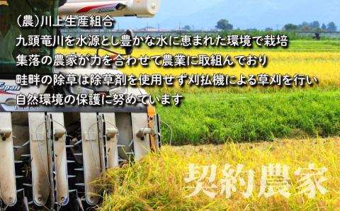 【令和7年産】【3ヶ月定期便】こしひかり 3kg×3回 計9kg【白米】「エコファーマー米」水のまちのお米 [A-003002]