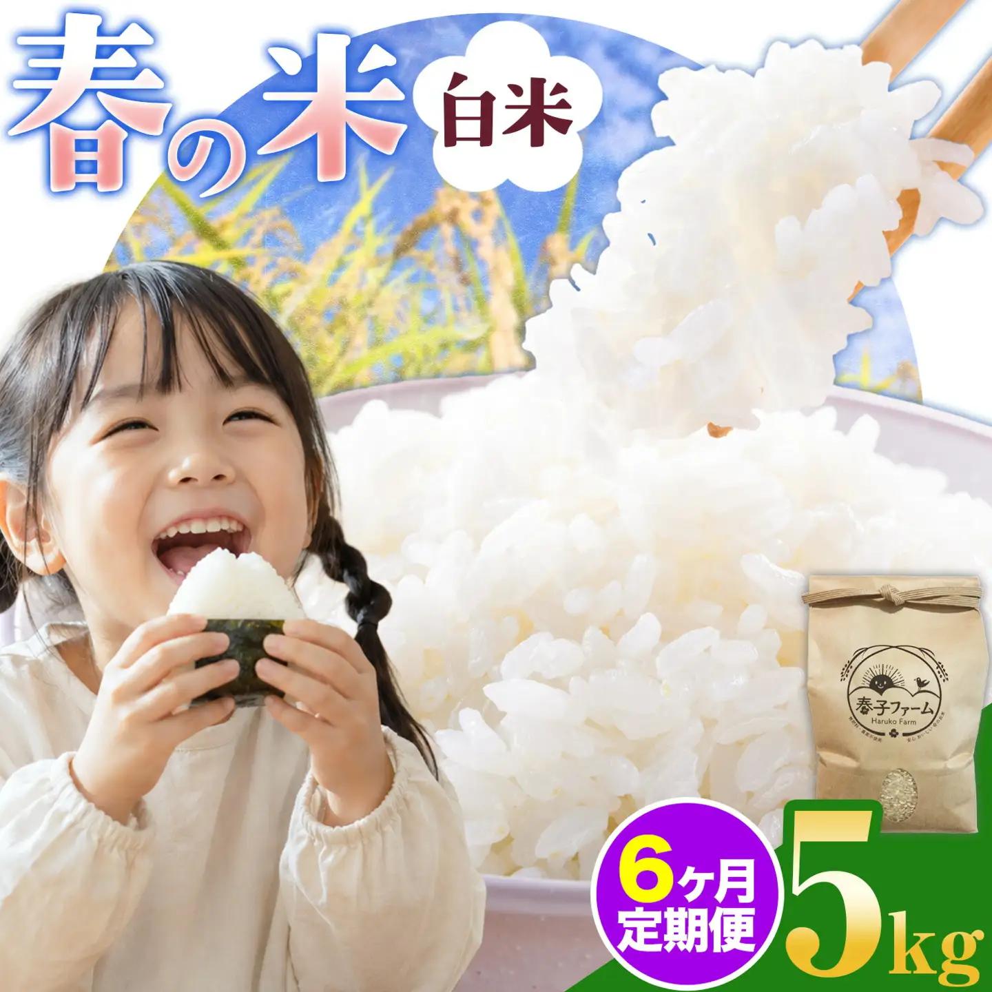 米 春の米 白米 5kg 6ヶ月 定期便 春子ファーム 米