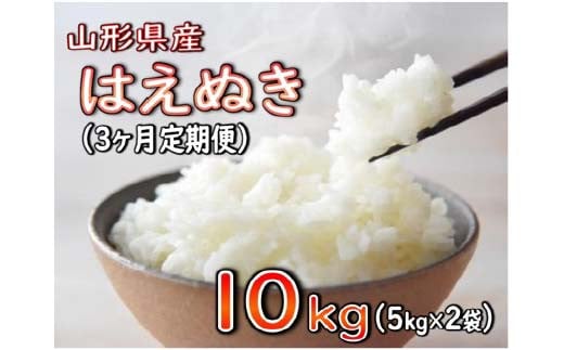 はえぬき 10kg（5kg×2袋）×3回 定期便 3カ月連続【2024年12月発送開始】令和6年産 山形県産 米 コメ こめ F3S-2260