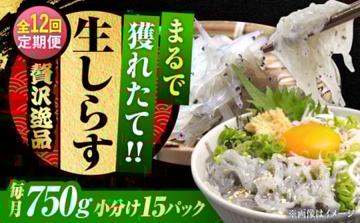 【全12回定期便】しらす 冷凍 生しらす 50g×15個 冷凍 しらす シラス 干し 釜揚げ 小分け 魚介類 鮮魚 ギフト 料理 レシピ シラス丼 しらす丼 海鮮丼 生 生産地 おつまみ ご飯のお供 グルメ やみつき 旬 国産 広島県産 リピート ギフト プレゼント 贈答 人気 高品質 好評 保存方法 江田島市/三島水産株式会社 [XCN016]