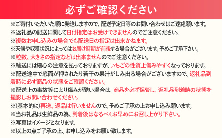 【2026年発送先行予約】プレミアム あまおう EX（化粧箱入り）いちご フルーツ 果物 あまおう 約400g×1パック 苺 イチゴ ギフト 贈答用 贈り物 お祝い 祝い 化粧箱 福岡【発送時期202