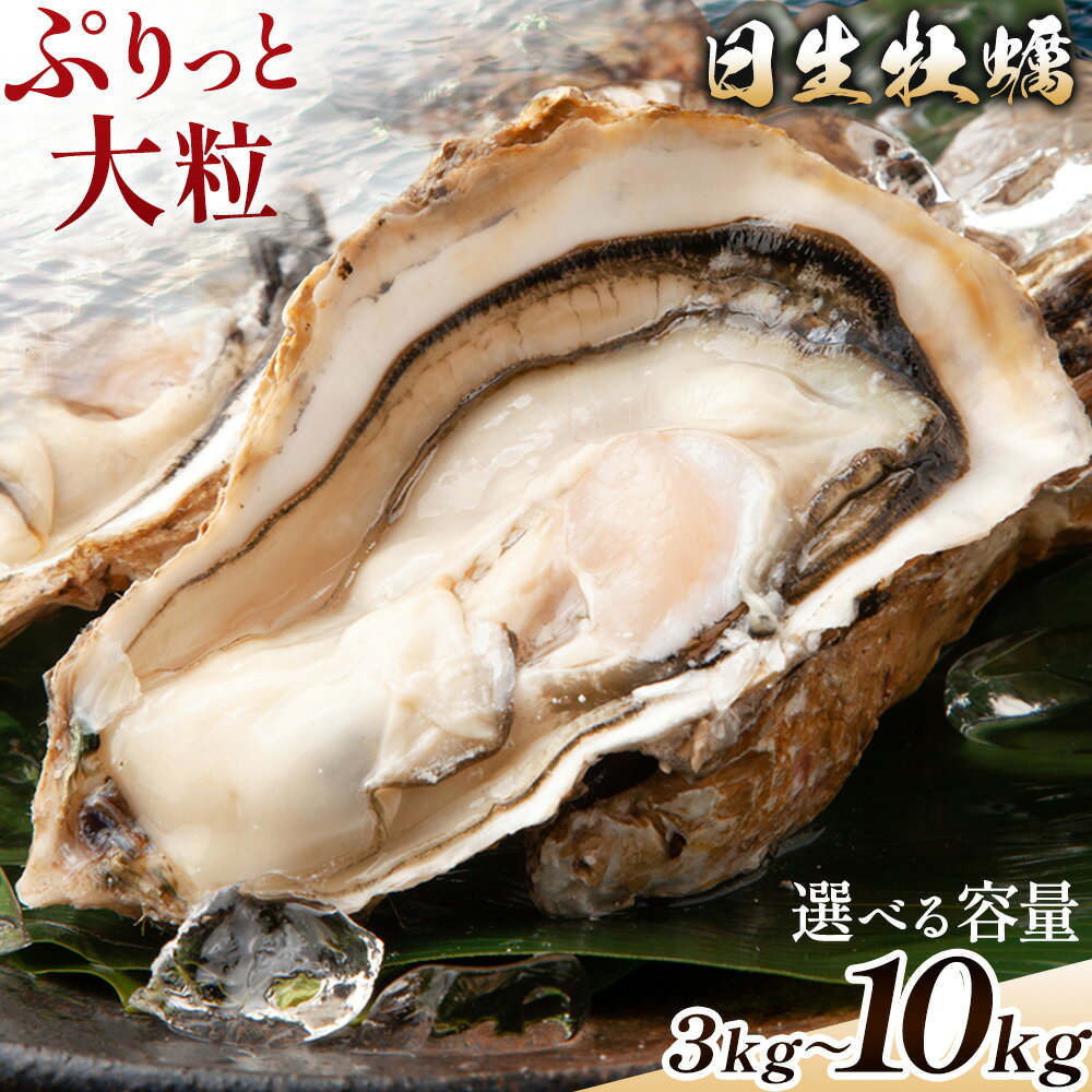 【ふるさと納税】牡蠣 日生牡蠣 3kg 5kg 10kg 小ぶり 通常 半缶 一斗缶 河内工房《11月上旬‐4月中旬頃出荷》 岡山県 備前市 送料無料 牡蠣 かき 海産物 お取り寄せグルメ 貝 カキフライ カキ