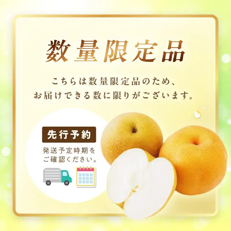 フルーツ 梨【先行予約／数量限定700】新興梨（訳あり） 5kg （7～12玉）（2026年9月下旬～発送）(赤梨 梨 ナシ 梨 梨 梨)