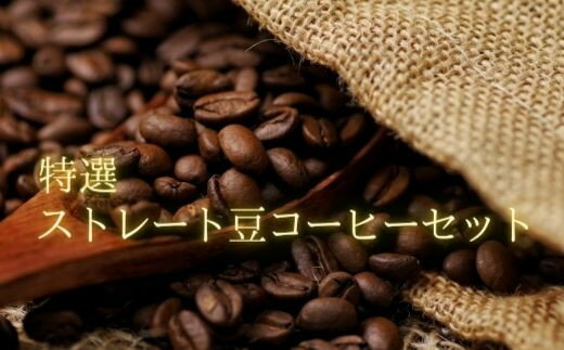 【ふるさと納税】No.0720 特選ストレート豆コーヒーセット